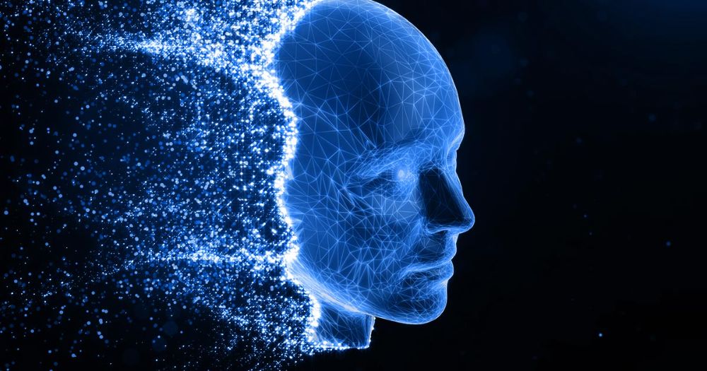 Stratégie de marque